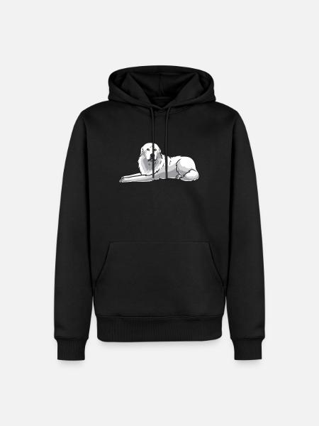 Sturer - Men’s Premium Organic Hoodie - black