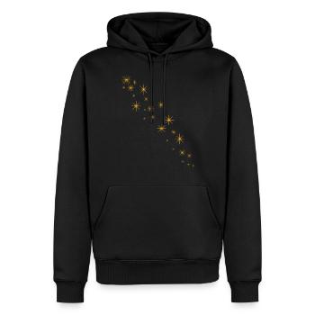 Stern - Männer Premium Bio Hoodie - Schwarz - Vorne - Nico (187cm)