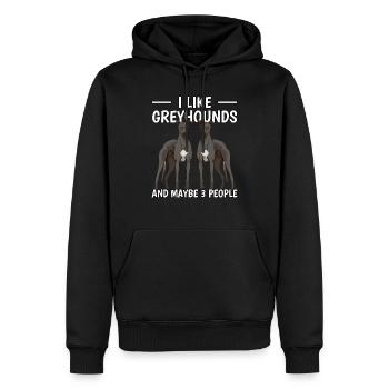 Greyhound I Like Greyhounds And Maybe 3 People - Men’s Premium Organic Hoodie - black - Front - Nico (187cm)