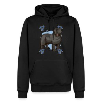 Terre-Neuve Newfoundland Blue Design - Sweat à capuche Premium bio Homme - noir - Devant - Nico (187cm)