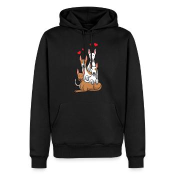 Podenco Hunde - Männer Premium Bio Hoodie - Schwarz - Vorne - Nico (187cm)