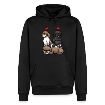 Perro de Agua Español Hund Spanischer Wasserhund - Männer Premium Bio Hoodie - Schwarz - Vorne - Nico (187cm)