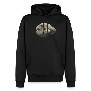 Stein - Männer Premium Bio Hoodie - Schwarz - Vorne - Nico (187cm)