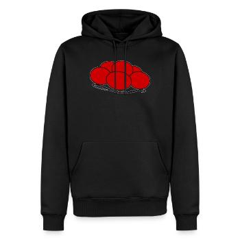 Bollenhut Forêt-Noire Fribourg - Sweat à capuche Premium bio Homme - noir - Devant - Nico (187cm)