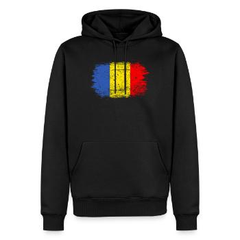 Coup de pinceau Drapeau roumain - Sweat à capuche Premium bio Homme - noir - Devant - Nico (187cm)