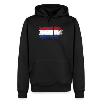 Coup de pinceau Dutch Tricolor - Sweat à capuche Premium bio Homme - noir - Devant - Nico (187cm)
