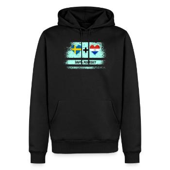 Paraguay et Suède 100% Parfait / Cadeau - Sweat à capuche Premium bio Homme - noir - Devant - Nico (187cm)