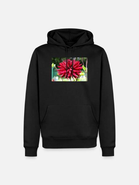 Dahlia Red Blossom ,Flower - Men’s Premium Organic Hoodie - black
