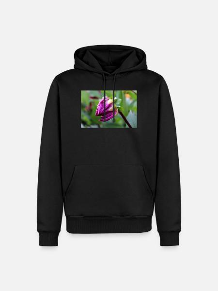 Dahlie rot violett Blüte ,Blume - Männer Premium Bio Hoodie - Schwarz