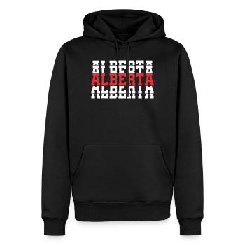 t-shirt alberta t-shirt gift idea stacked text - Men’s Premium Organic Hoodie - black - Front - Nico (187cm)