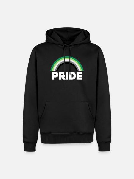 Aromantic Pride - Men’s Premium Organic Hoodie - black