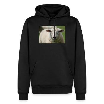 Gros plan d’un mouton - Sweat à capuche Premium bio Homme - noir - Devant - Nico (187cm)