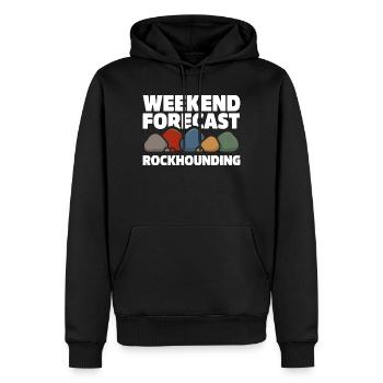 Prévisions du week-end Collecte de pierres Chasse aux pierres - Sweat à capuche Premium bio Homme - noir - Devant - Nico (187cm)