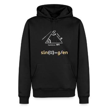 Geometrie für Musikliebhaber und Mathematiklehrer - Männer Premium Bio Hoodie - Schwarz - Vorne - Nico (187cm)