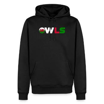 Pays de Galles - Sweat à capuche Premium bio Homme - noir - Devant - Nico (187cm)