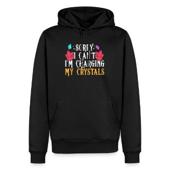 Energy Medicine Reiki Crystals Energy Healer - Männer Premium Bio Hoodie - Schwarz - Vorne - Nico (187cm)