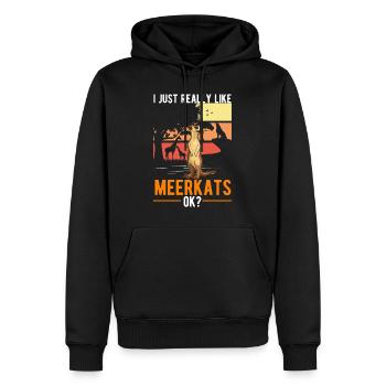 Suricate Cadeau Suricate Suricate - Sweat à capuche Premium bio Homme - noir - Devant - Nico (187cm)
