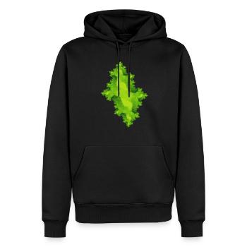 fraktal gruen - Männer Premium Bio Hoodie - Schwarz - Vorne - Nico (187cm)