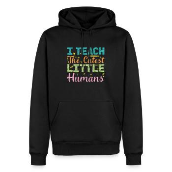 Enseignante éducatrice en éducation de la petite enfance - Sweat à capuche Premium bio Homme - noir - Devant - Nico (187cm)