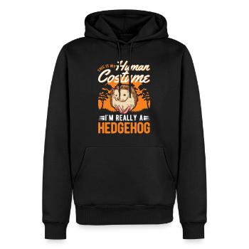 Hérisson Halloween Costume de hérisson - Sweat à capuche Premium bio Homme - noir - Devant - Nico (187cm)