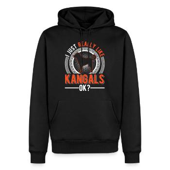 Cadeau de chien Kangal - Sweat à capuche Premium bio Homme - noir - Devant - Nico (187cm)
