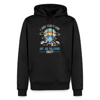 Montgolfière cadeau vol en montgolfière - Sweat à capuche Premium bio Homme - noir - Devant - Nico (187cm)