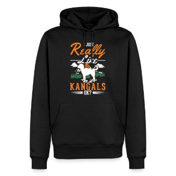 Cadeau chien Kangal - Sweat à capuche Premium bio Homme - noir - Devant - Nico (187cm)