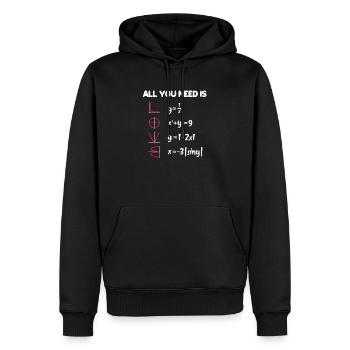 Mathe Lehrer Mathematik Rechnen Schule Geschenk - Männer Premium Bio Hoodie - Schwarz - Vorne - Nico (187cm)