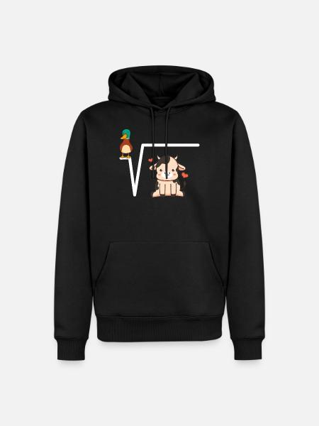 Idee für eine Mathematikerin - Männer Premium Bio Hoodie - Schwarz