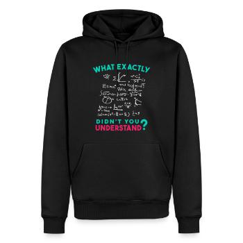 Physik Mathe Formel Scherz - Männer Premium Bio Hoodie - Schwarz - Vorne - Nico (187cm)