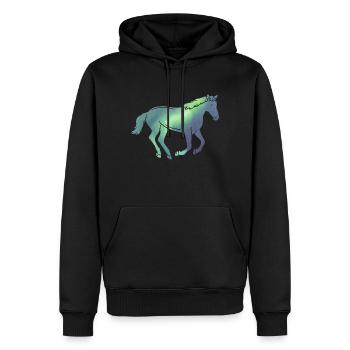 Island Islandpferd Isländer Pferd Polarlicht - Männer Premium Bio Hoodie - Schwarz - Vorne - Nico (187cm)