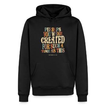 Peut-être avez-vous été créé pour un temps comme celui-ci - Sweat à capuche Premium bio Homme - noir - Devant - Nico (187cm)