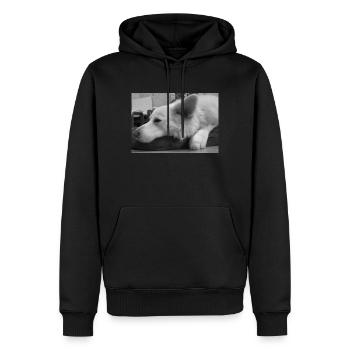 Cohen in Schwarz Weiss - Männer Premium Bio Hoodie - Schwarz - Vorne - Nico (187cm)