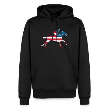 USA Rider Western Cowboy Rodeo - Sweat à capuche Premium bio Homme - noir - Devant - Nico (187cm)