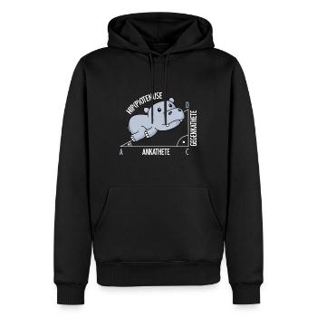 Mathématiques Hippotenuse mathématiques amusantes - Sweat à capuche Premium bio Homme - noir - Devant - Nico (187cm)