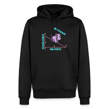 Mathématicien Professeur de mathématiques Hippotenuse - Sweat à capuche Premium bio Homme - noir - Devant - Nico (187cm)