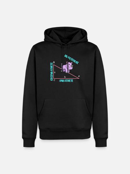 Mathematician Math Teacher Hippotenuse - Men’s Premium Organic Hoodie - black
