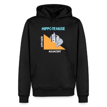 Hippotenuse Algebra Analysis - Männer Premium Bio Hoodie - Schwarz - Vorne - Nico (187cm)