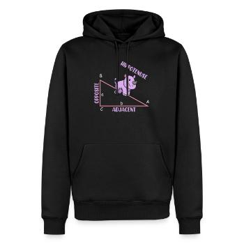 Mathématicien Professeur de mathématiques Hippotenuse - Sweat à capuche Premium bio Homme - noir - Devant - Nico (187cm)
