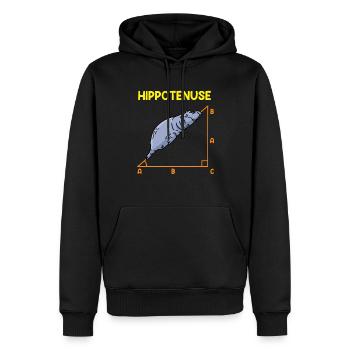 Math Hippo Professeur de mathématiques Hippotenuse - Sweat à capuche Premium bio Homme - noir - Devant - Nico (187cm)