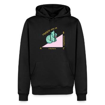 Professeur de mathématiques mathématicien Hippotenuse - Sweat à capuche Premium bio Homme - noir - Devant - Nico (187cm)
