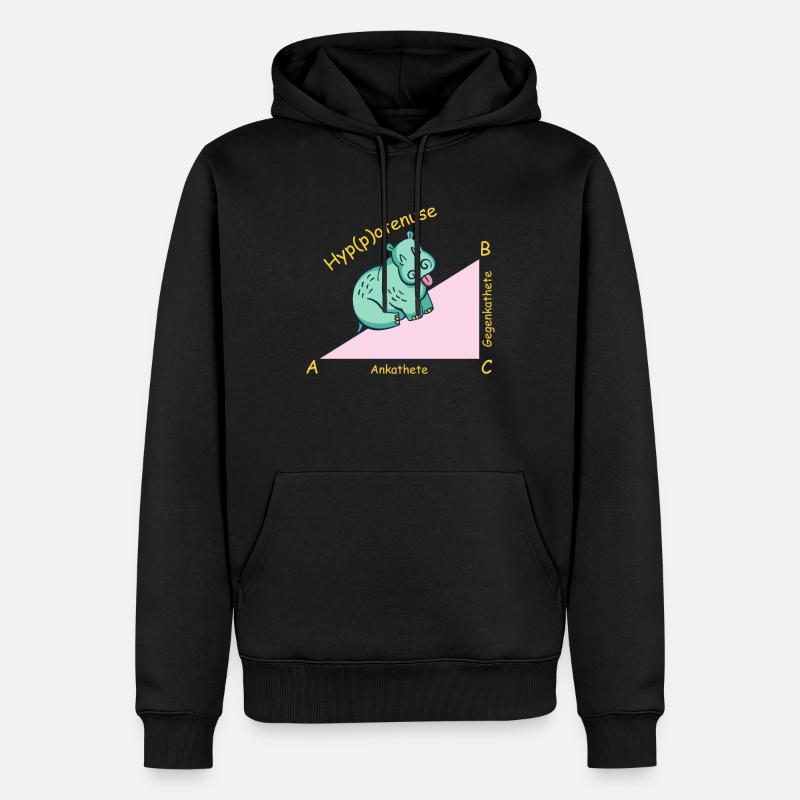 Mathelehrer Mathematiker Hippotenuse - Männer Premium Bio Hoodie - Schwarz