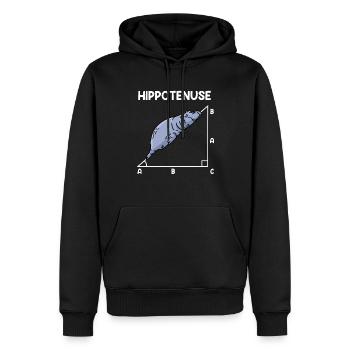 Math Hippo Professeur de mathématiques Hippotenuse - Sweat à capuche Premium bio Homme - noir - Devant - Nico (187cm)