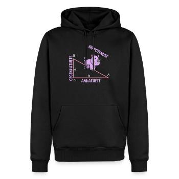 Mathématicien Professeur de mathématiques Hippotenuse - Sweat à capuche Premium bio Homme - noir - Devant - Nico (187cm)