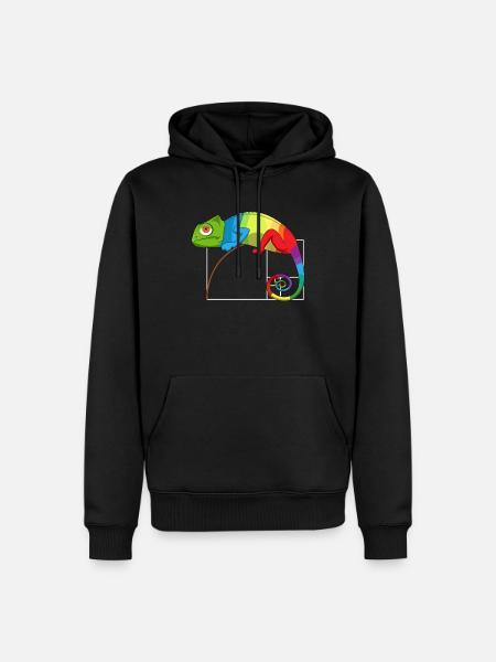 Fibonacci Tag Goldenes Ratio Mathe Chamäleon - Männer Premium Bio Hoodie - Schwarz