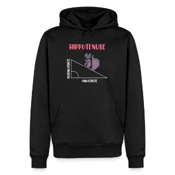 Hippotenuse Algèbre Mathématiques Étudiant - Sweat à capuche Premium bio Homme - noir - Devant - Nico (187cm)