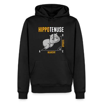 Nieldpferd Hippo Hippotenuse Algebra Mathelehrer - Männer Premium Bio Hoodie - Schwarz - Vorne - Nico (187cm)