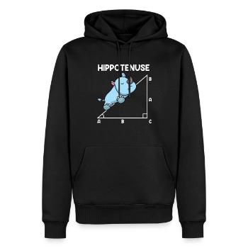 Hypoténuse Hippopotence Math - Sweat à capuche Premium bio Homme - noir - Devant - Nico (187cm)