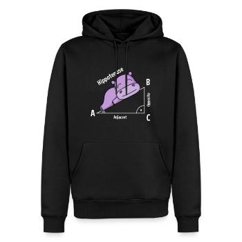 Professeur de mathématiques Hipotenuse Math - Sweat à capuche Premium bio Homme - noir - Devant - Nico (187cm)