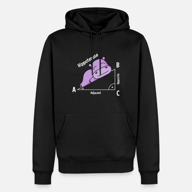 Professeur de mathématiques Hipotenuse Math - Sweat à capuche Premium bio Homme - noir